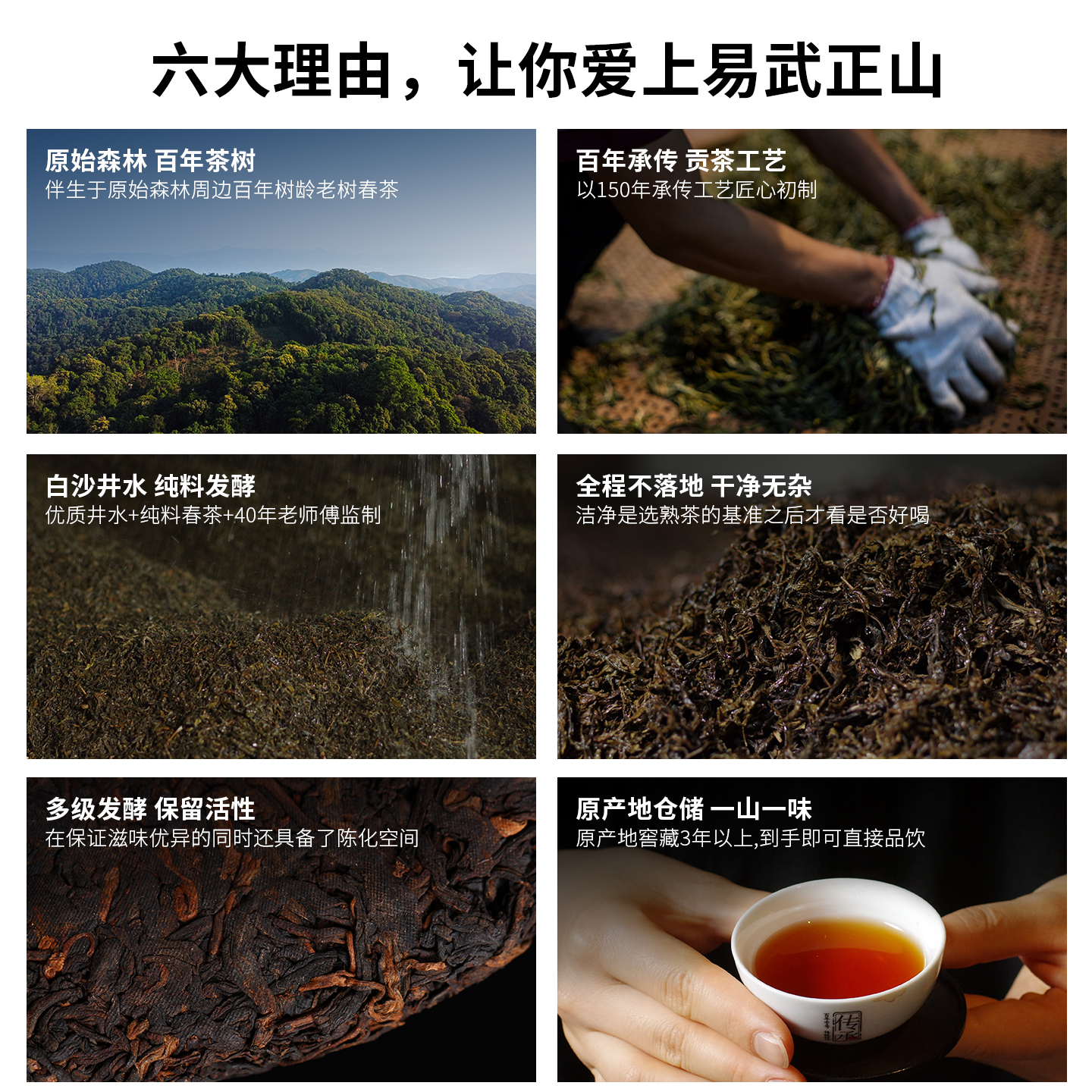【品牌福利】2020年易武丁家寨普洱茶熟茶福元昌茶厂纯料熟普357g - 图2