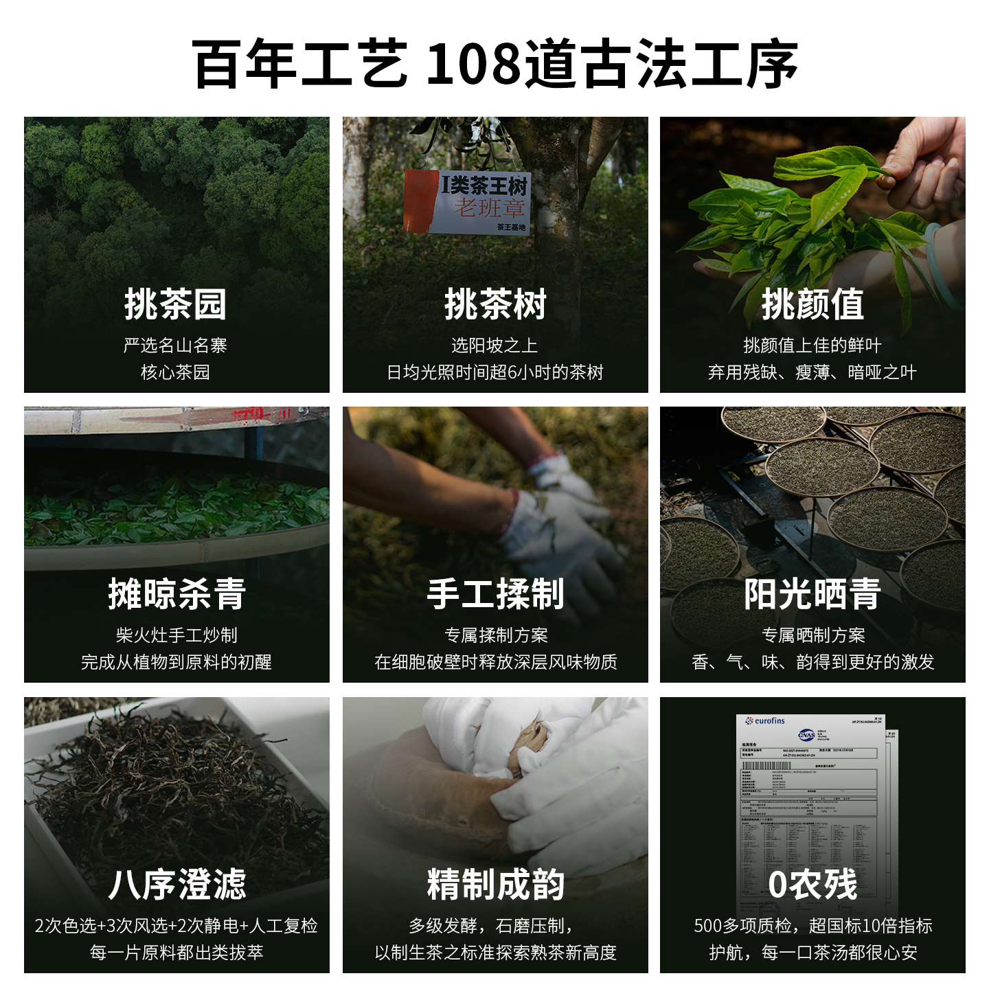 【品牌福利】2020年易武丁家寨普洱茶熟茶福元昌茶厂纯料熟普357g - 图1