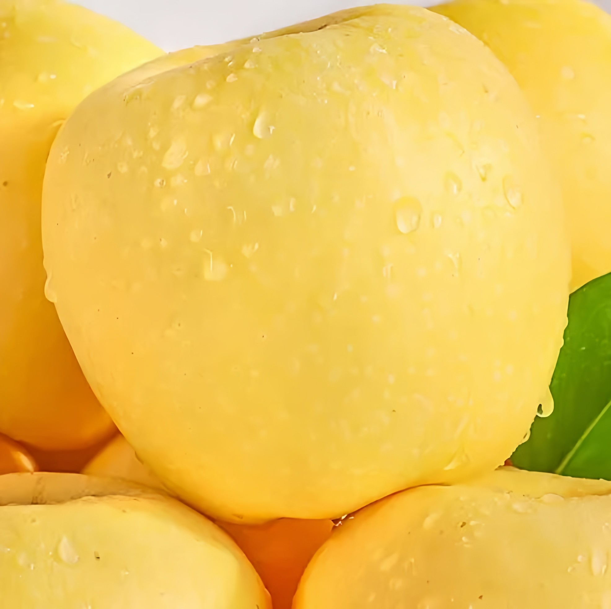 新上市精品有机维纳斯苹果有机认证0污染不打蜡脆甜新鲜水果,淘宝优惠券,粉丝福利购,淘宝优惠卷