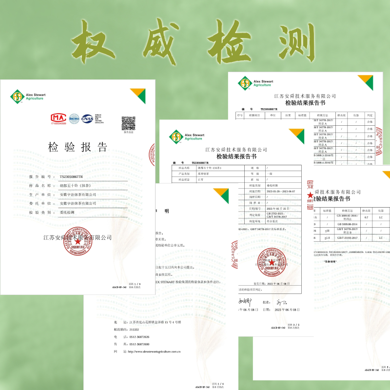 宇治抹茶粉五十铃千寿昔日本式纯抹茶粉咖啡茶道点茶冲饮烘焙甜品 - 图2