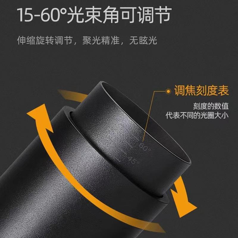 LED bold lamp double head single head double spotlight downlight black square grille embedded bean gall lamp home