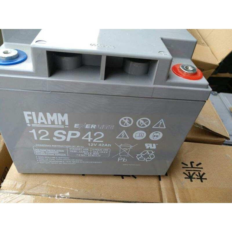 FIAMM武汉12SP42 12V42AH 直流屏ups电源电力设备用 - 图1