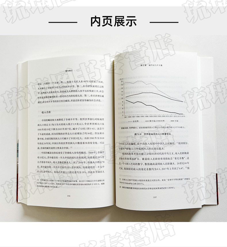 置身事内 中国政府与经济发展 兰小欢著 罗永浩王烁等联袂推 荐复旦大学经济学院副教授兰小欢多年教学与研究成果经济管理书籍正版 - 图0