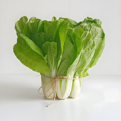 2包四季黄金奶油小白菜早熟阳台庭院种菜种四季播奶油白菜蔬菜 - 图2