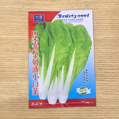 2包四季黄金奶油小白菜早熟阳台庭院种菜种四季播奶油白菜蔬菜 - 图0