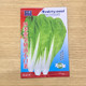 Four Seasons Golden Cream Cabbage Seeds for Sowing in Four Seasons