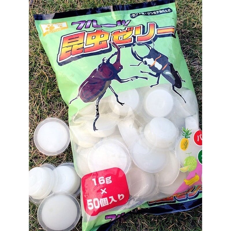 甲虫果冻独角仙锹甲饲料蛋白黑糖蚂蚁食物昆虫宠物成虫吃的带食台,淘宝优惠券,粉丝福利购,淘宝优惠卷