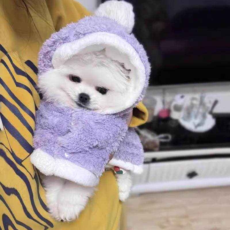 小狗狗衣服秋冬保暖披风睡觉加厚斗篷泰迪博美睡袍加绒毛毯,淘宝优惠券,粉丝福利购,淘宝优惠卷