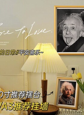 新品爱因斯坦艺术装饰摆件书房办公室电脑桌N面相框摆台小众纪念