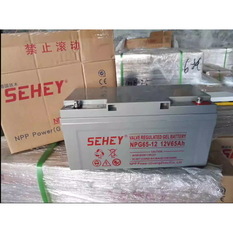 SEHEY蓄电池12V100AH65AH55AH38AH24AH20AH17AH直流屏UPS电源 - 图2