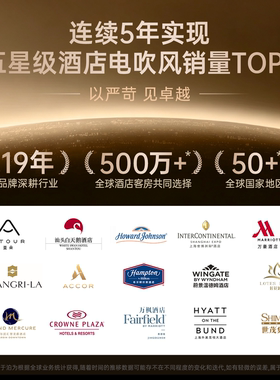 星级酒店同款高速吹风机