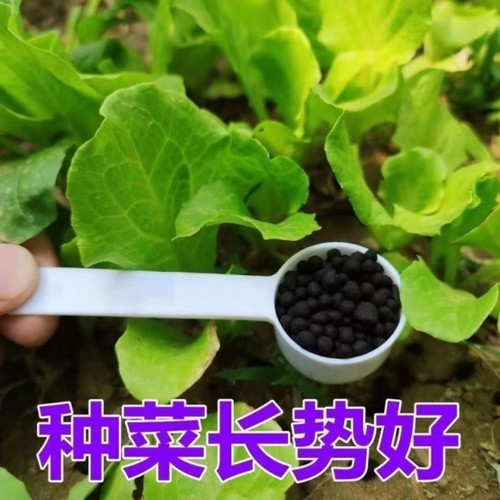 复合肥蔬菜农用种菜缓释肥花卉颗粒家用花肥料100斤氮磷钾复合肥 - 图2
