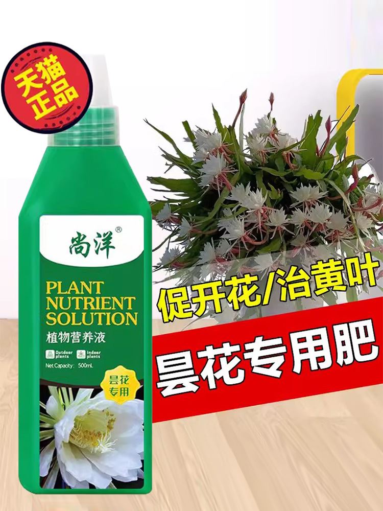 昙花专用肥料营养液昙华韦陀花鬼仔花有机营养液催苗生根促开花 - 图0