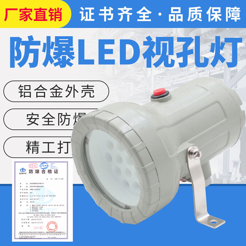 定做防爆视孔灯5W防爆LED视孔灯10W24v220v36V12V反应釜视镜灯BSD - 图0