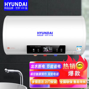 HYUNDAI电热水器储水式家用节能出租房小型即速热洗澡40升50L6080