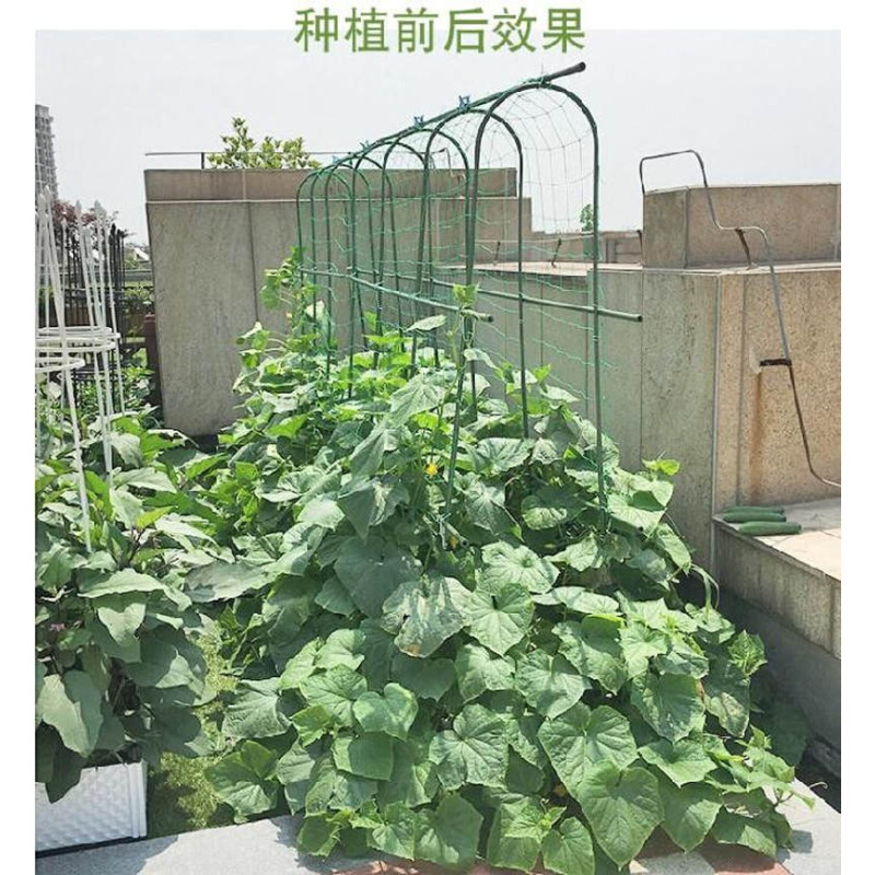 棚架北欧小型花棚架欧式铁艺爬藤架屋顶爬架豆角加固爬藤攀爬农家-图1