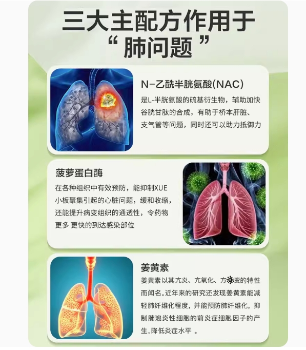 朴诺NAC菠萝蛋白酶肺部SPA槲皮素肺动力畅快呼吸抽烟粉尘灰尘-图2