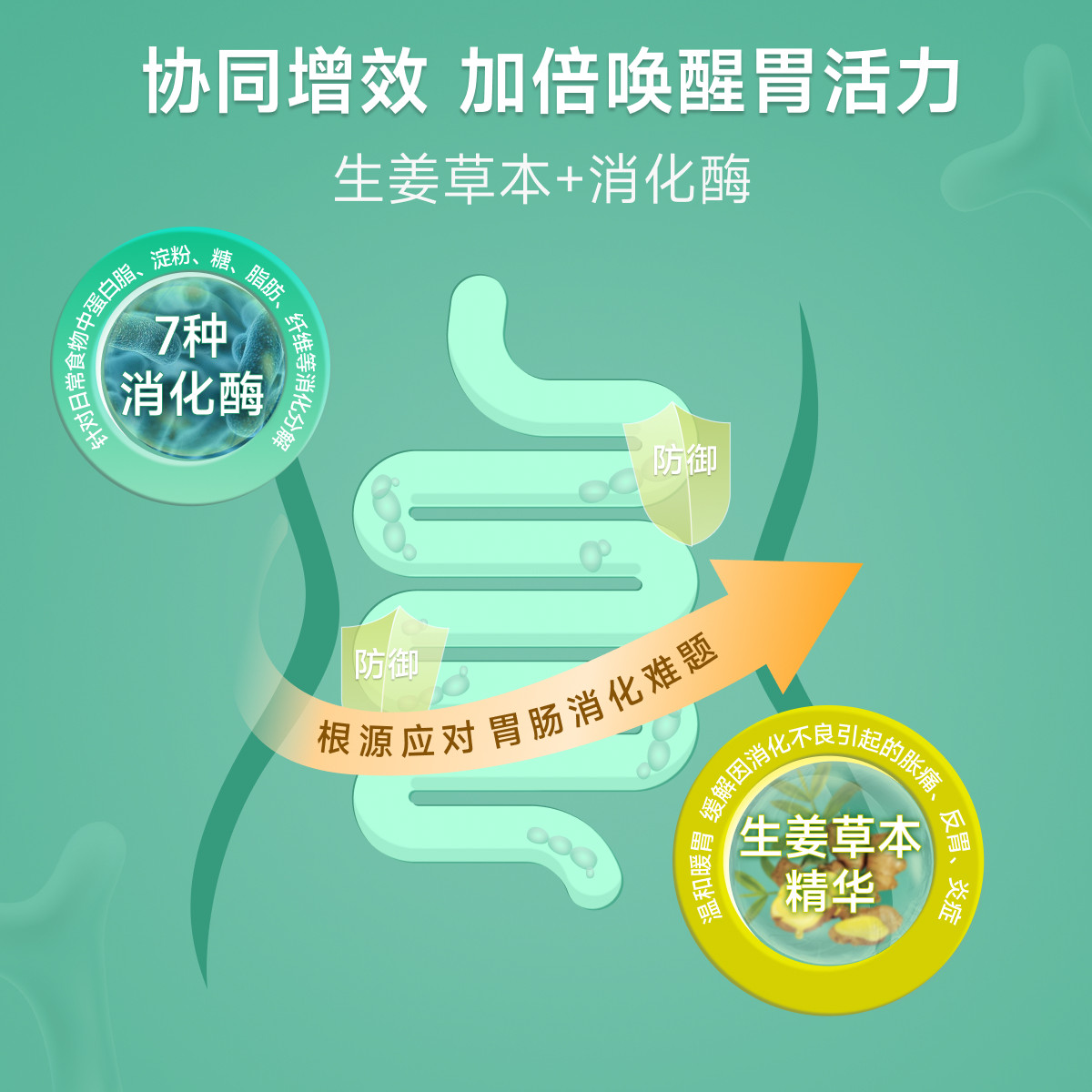  ShoppingGO海外益生菌