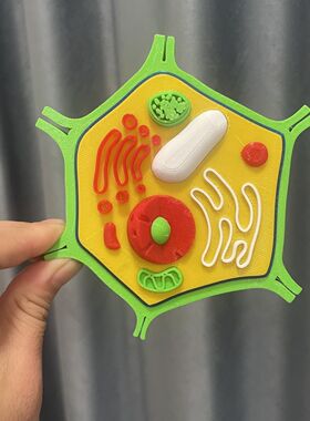 初高中生物3D打印细胞模型高清动植物细胞结构学生课堂实验教学
