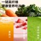 Joyoung Wall Breaker Frequency Converter Light Sound Multifunctional Soybean Milk Maker