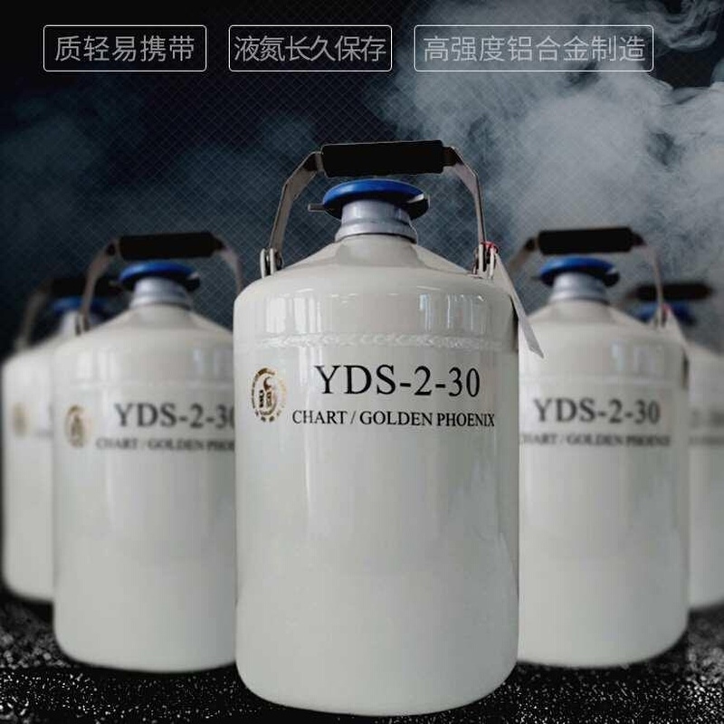 特价成都金凤液氮罐1升2升6升10升氮气冰淇淋分子生物容器瓶YDS--图0