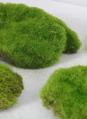 森系造景假山布置仿真植t绒青苔草皮草坪微景观仿真假石头苔藓块