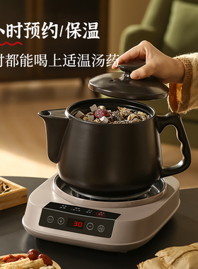 智能全自动煎药壶中药电炖电煎药壶家用煲汤熬药分体两用陶瓷砂锅