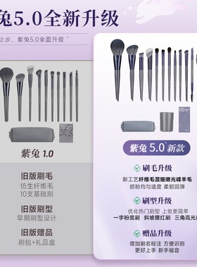 LADES蓝蒂丝12支紫兔5.0化妆刷套装动物毛眼影刷化妆刷子推荐