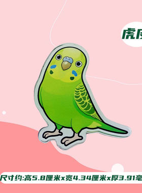 鹦鹉周边卡通鹦鹉冰箱贴虎皮牡丹玄风小太阳鸟笼宠物鸟照片磁吸贴