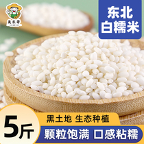 Nord-est du riz glutineux blanc 5 catties 2023 ferme auto-production de nouveau riz Round grain Jiangmi Ggluous Rice Wine avec riz spécial collant