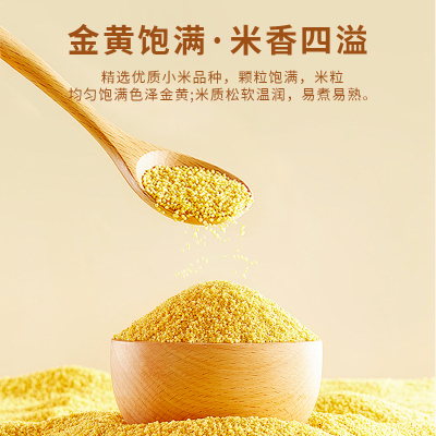 一把锄头黄小米杂粮罐装新米
