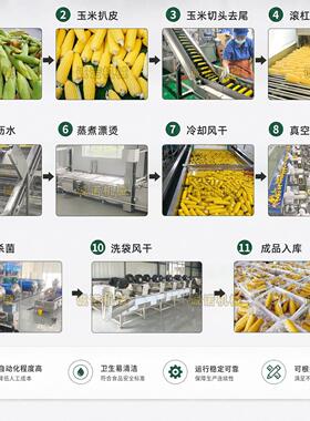 工厂玉米深加工流水线玉米剥皮清洗杀菌风干真空包装一体化生产线