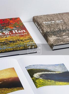 抽象油画作品艺术画册样板间客厅书房展厅轻奢软装饰品摆件真书