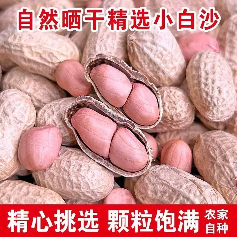 25年带壳生花生晒干5斤3斤原味新鲜种子级品质农家粉皮小粒白沙,淘宝优惠券,粉丝福利购,淘宝优惠卷