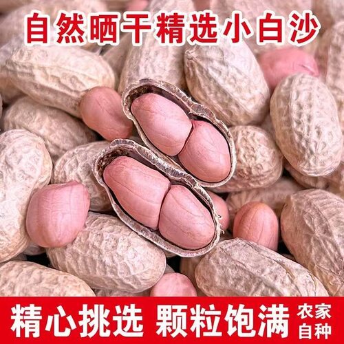 25年新货带壳生花生种子级农家自种白沙粉皮薄壳干花生果1-5斤 - 图1