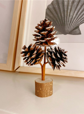 森系松果桌面摆件侘寂风氛t围装饰三头圆木片幼儿园环创纯手工diy