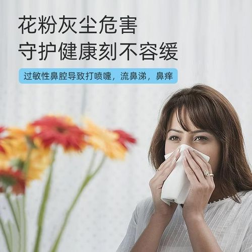 鼻专用炎口罩防过敏性花粉阻隔秋季粉尘鼻用空气过滤器睡觉鼻罩tt - 图1