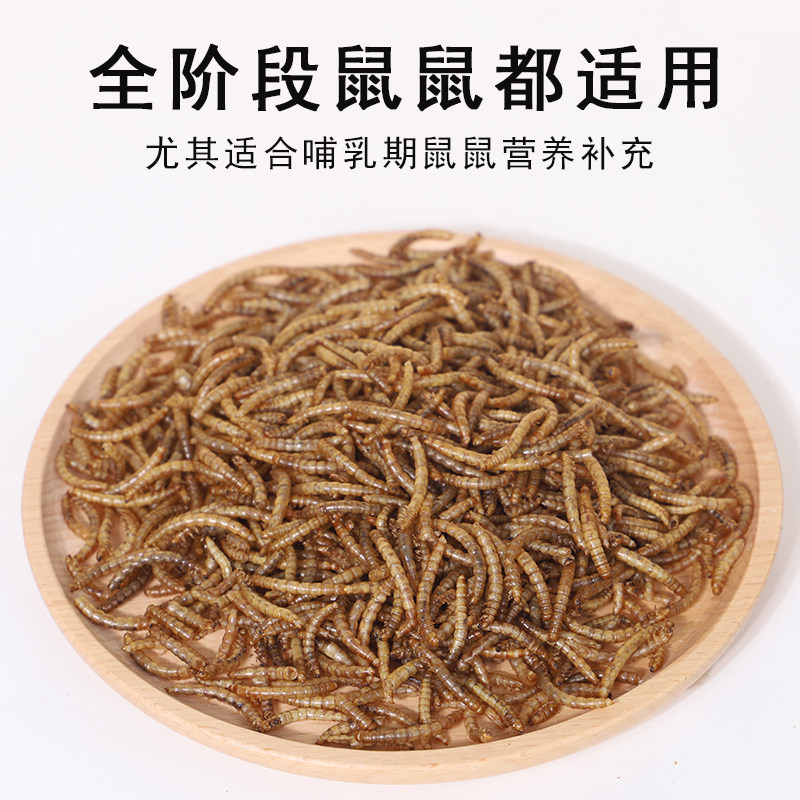 仓鼠粮食营养主粮面包虫干零食金丝熊磨牙专用小零食饲料必备用品,淘宝优惠券,粉丝福利购,淘宝优惠卷