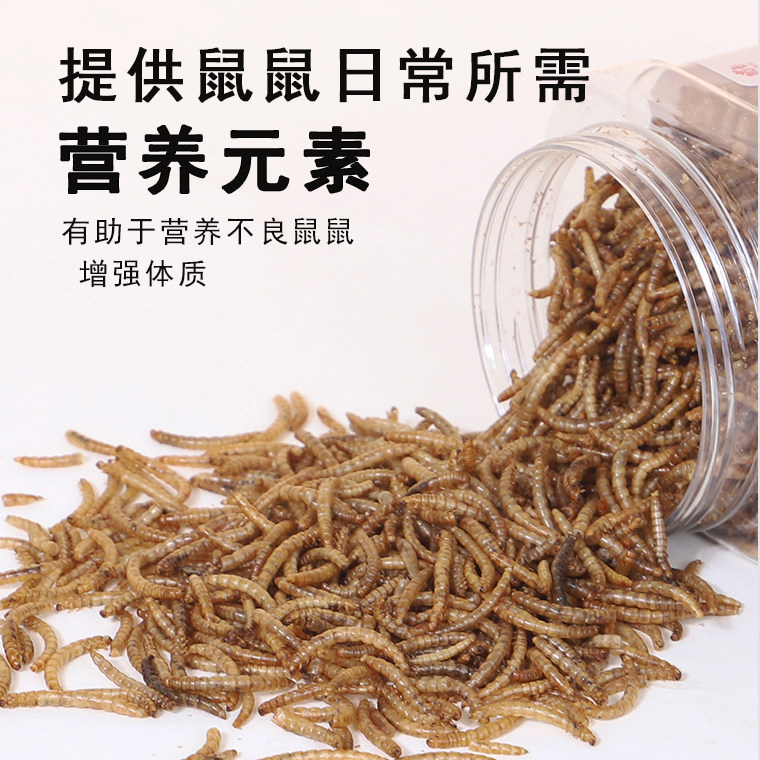 仓鼠粮食营养主粮面包虫干零食金丝熊磨牙专用小零食饲料必备用品,淘宝优惠券,粉丝福利购,淘宝优惠卷