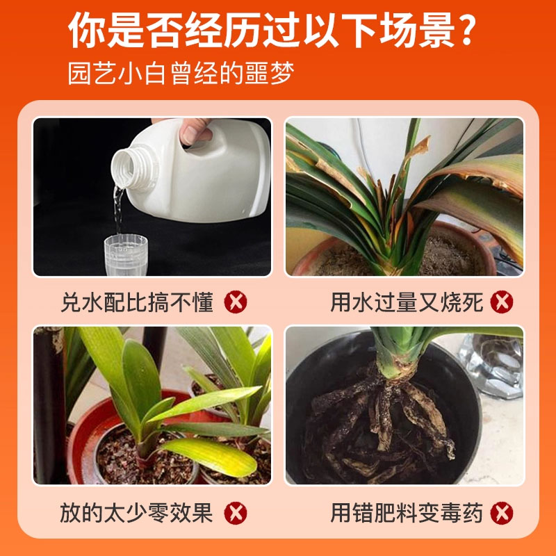 君子兰专用营养液养君子兰专用营养液肥料栽种盆栽肥专用肥通用 - 图0