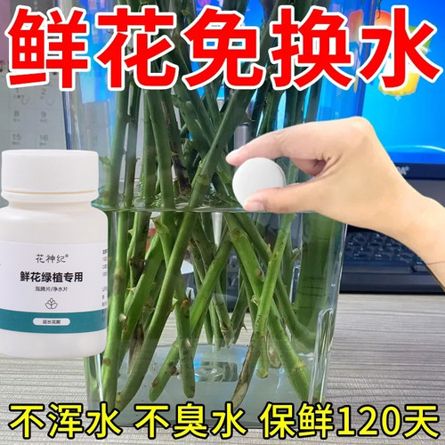 鲜花泡腾片家用绿植专用净水片花店学校插花卉鲜花保鲜剂净水片 - 图1
