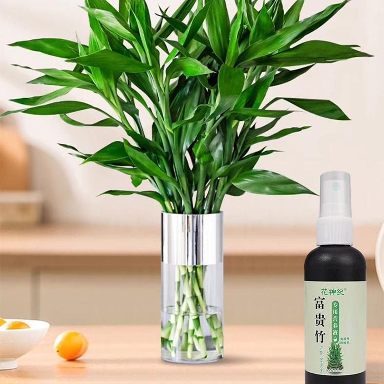 【拯救黄叶】专治叶子发黄烂根一喷绿水培植物液体肥富贵竹营养液