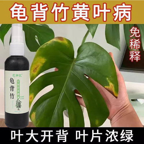 龟背竹免稀释专用营养液水培叶子发黄卷叶烂根催芽通用型叶面肥料-图3