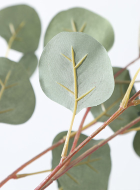 2025新款仿真尤加利叶绿植摆件仿真植物婚庆装饰家居布艺仿真花艺