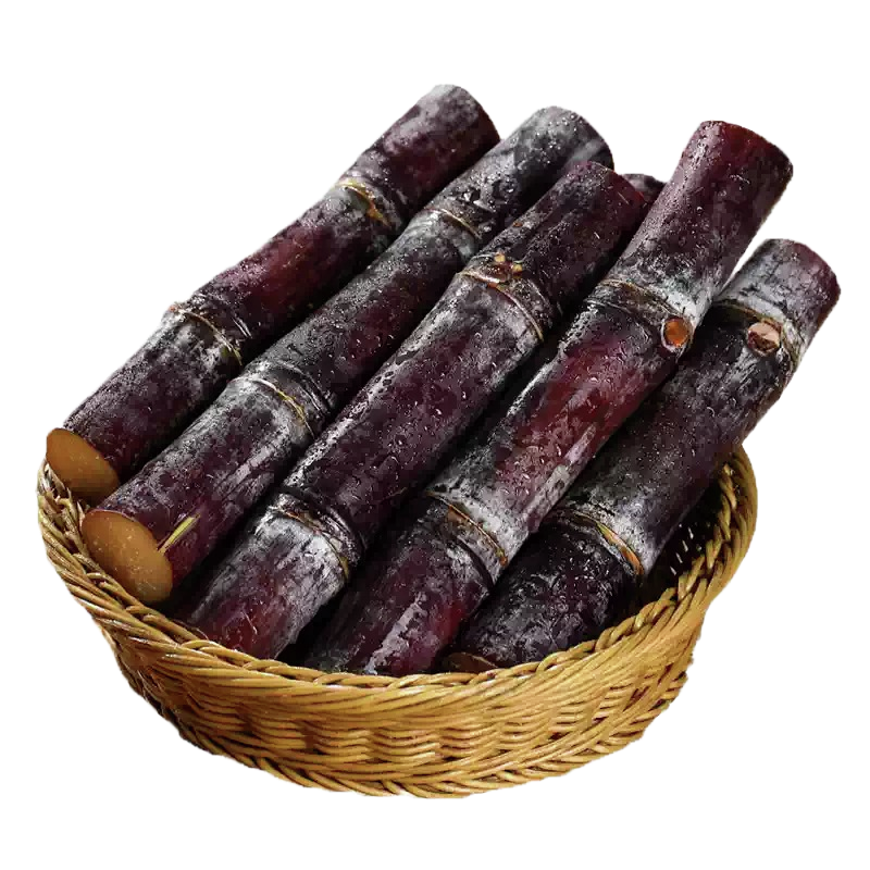 农家黑皮甘蔗中段新鲜材质啊脆甜果糖蔗榨汁甜杆老农精选整箱,淘宝优惠券,粉丝福利购,淘宝优惠卷