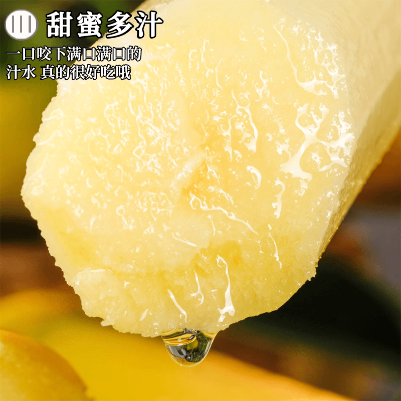 农家黑皮甘蔗中段新鲜材质啊脆甜果糖蔗榨汁甜杆老农精选整箱,淘宝优惠券,粉丝福利购,淘宝优惠卷