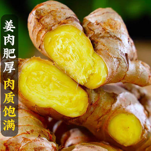 新鲜采摘正宗小黄姜新鲜生姜老姜现挖高山沙姜老嫩姜土姜蔬菜整箱 - 图1