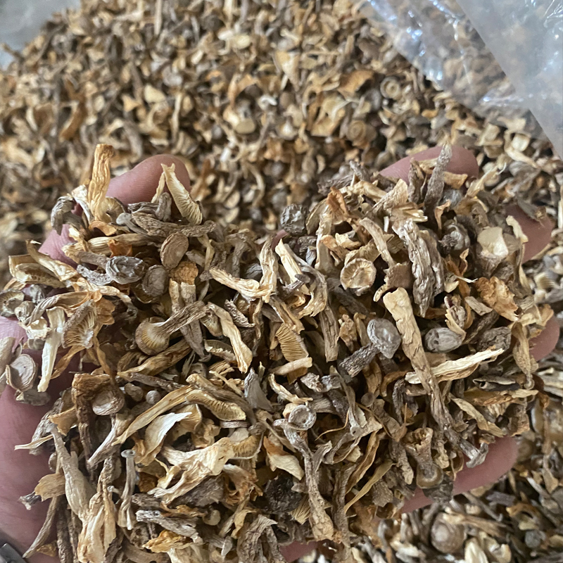 鹿茸菇干货鹿茸菌500g包邮鹿茸菇碎片天然无硫馅料食用菌香菇煲汤 - 图1