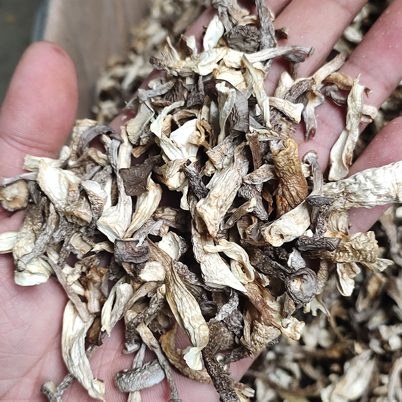 鹿茸菇干货鹿茸菌500g包邮鹿茸菇碎片天然无硫馅料食用菌香菇煲汤 - 图0