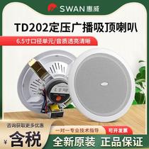 Hivi Whi Wai TD202 201 Suction Top Horn Suit Shop Background Music System Smallpox Ceiling Acoustics